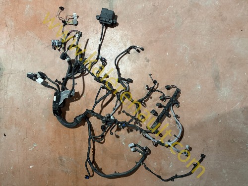Renault Austral 1.3 TCe Mild Hybrid Otomatik Motor Tesisatı 240111980S