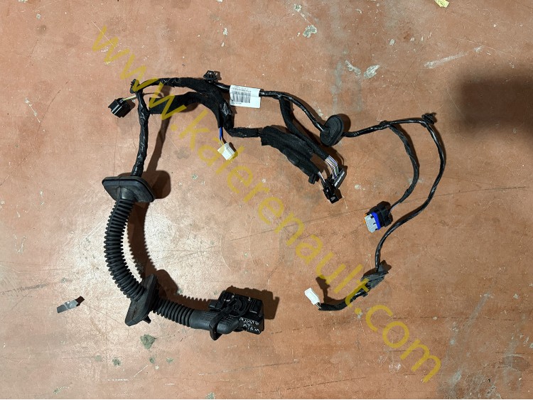 Renault Austral Sol Ön Kapı Tesisatı 241256328R