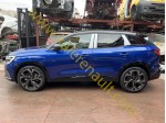 Renault Austral Sol Arka Kapı (Demir Mavi)