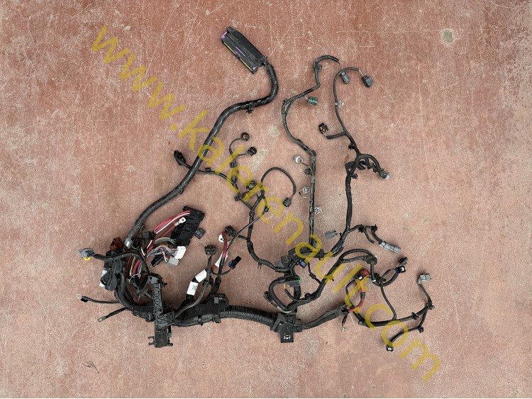 Dacia Jogger 1.0 TCe ECO-G Manuel Motor Tesisatı 240118436S