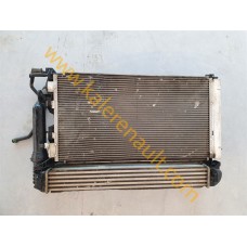 Renault Megane 3 Radyatör 214100068R