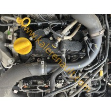 Renault Taliant 1.0 T Motor Tesisatı 240111825S
